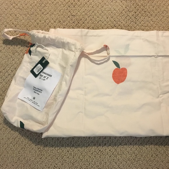 Urban Outfitters Other - Brand New Urban Outfitters Pillow Set